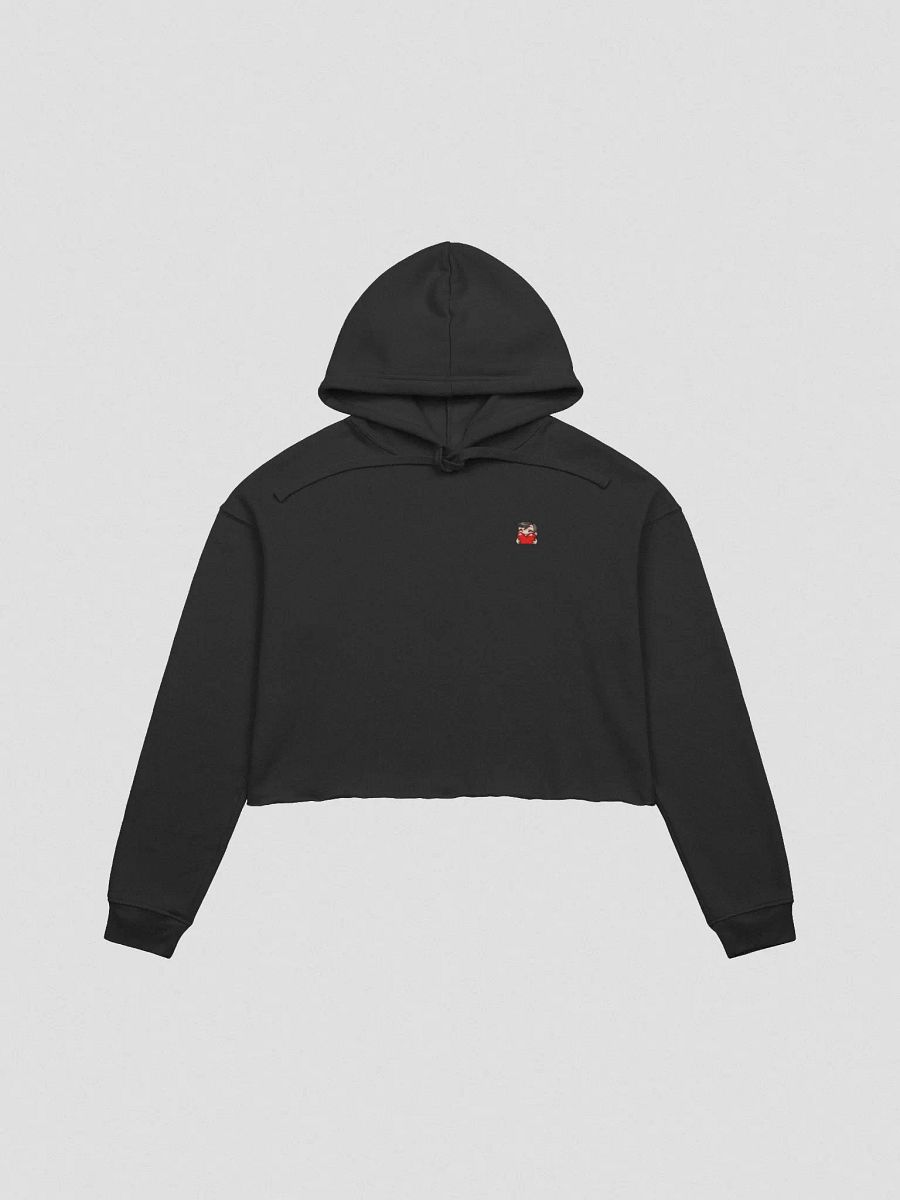 Crop Top Hoodie product image (3)