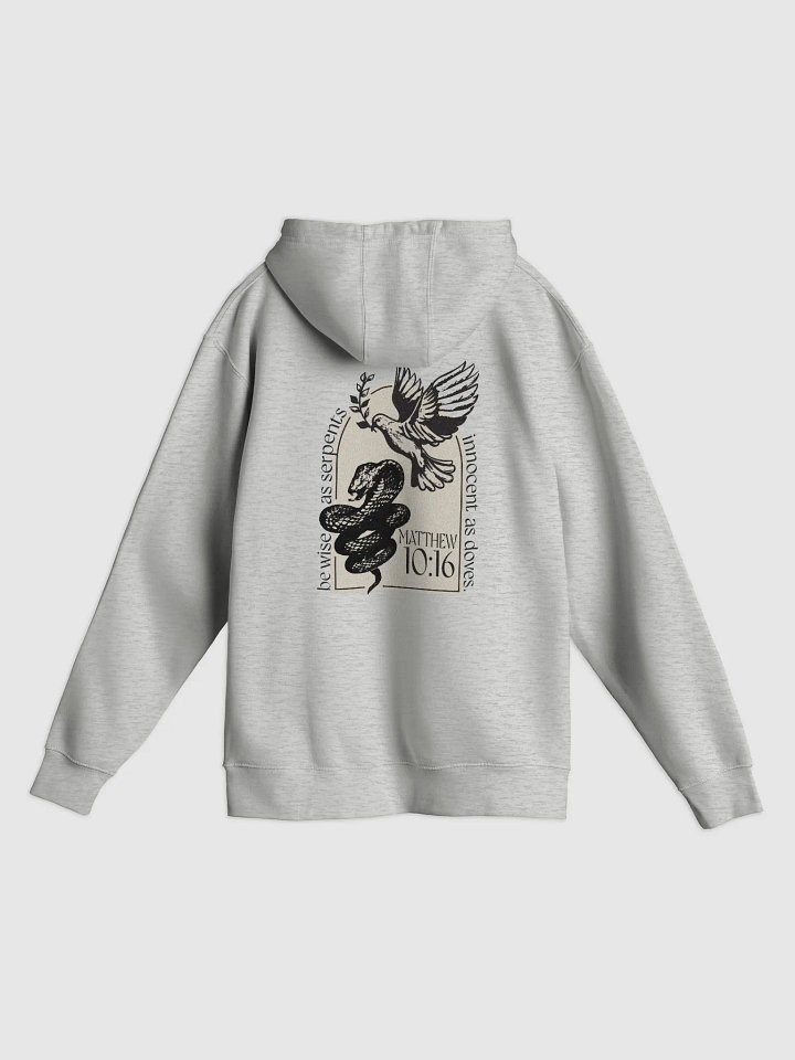 Matthew 10:16 Hoodie product image (1)