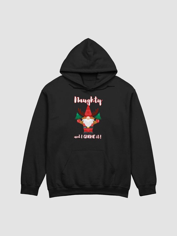 NAUGHTY AND I GNOME IT product image (1)
