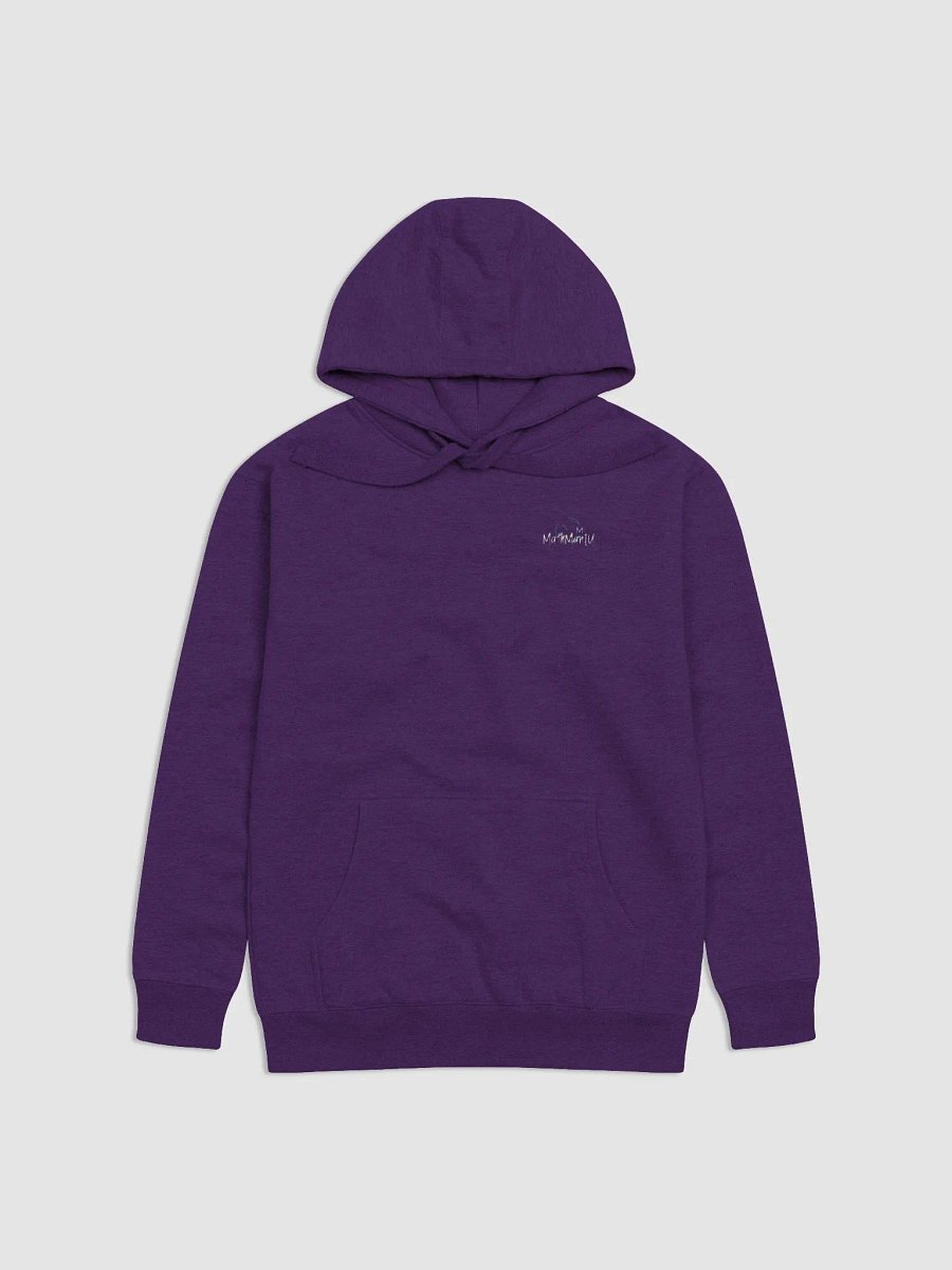 Streetwise Hoodie - Telogrus product image (2)