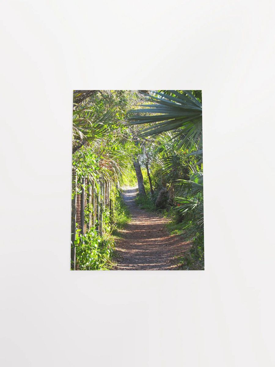 Ponce Inlet, FL Trail product image (52)