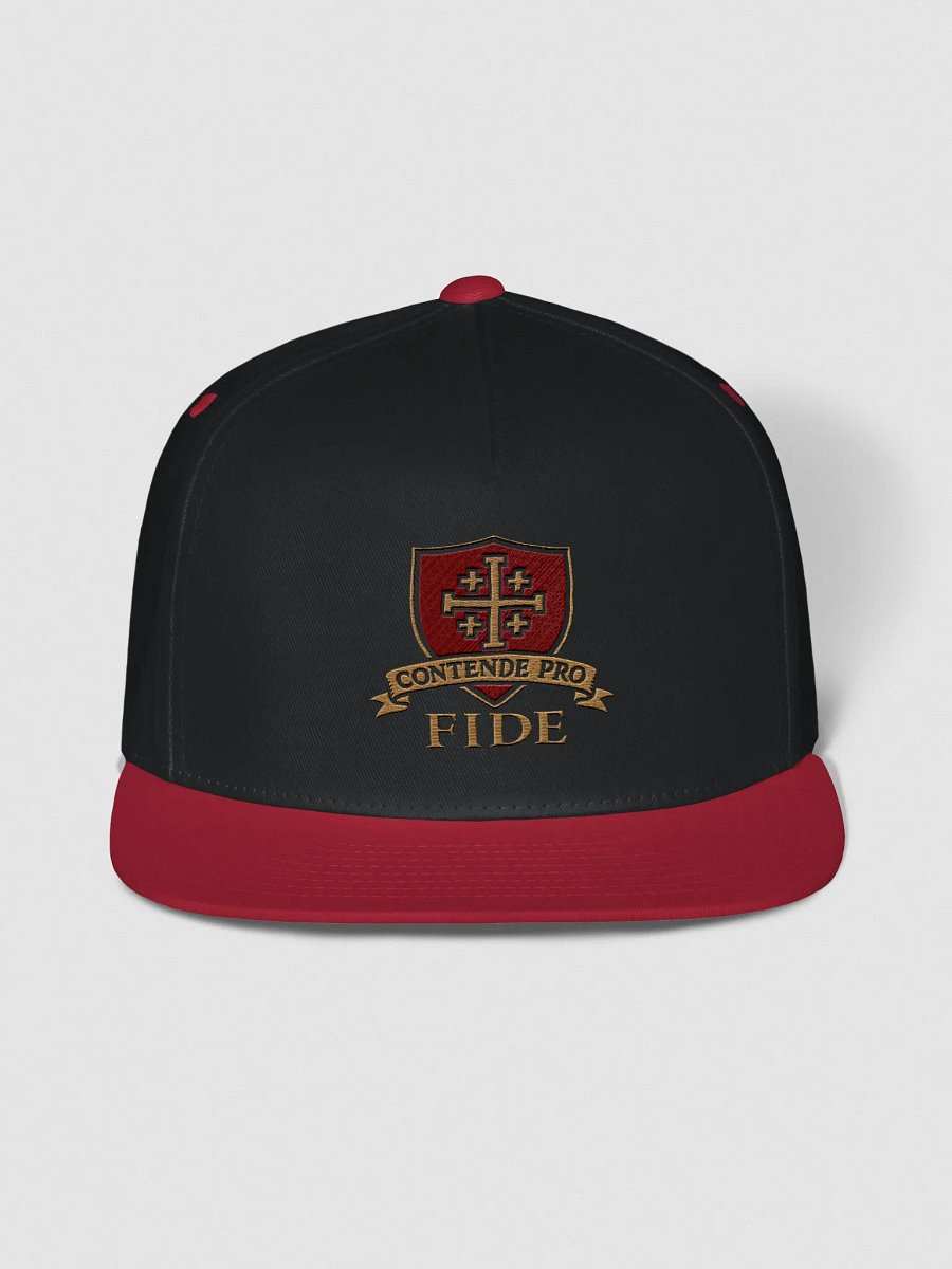 CPF snapback v2 colours product image (4)