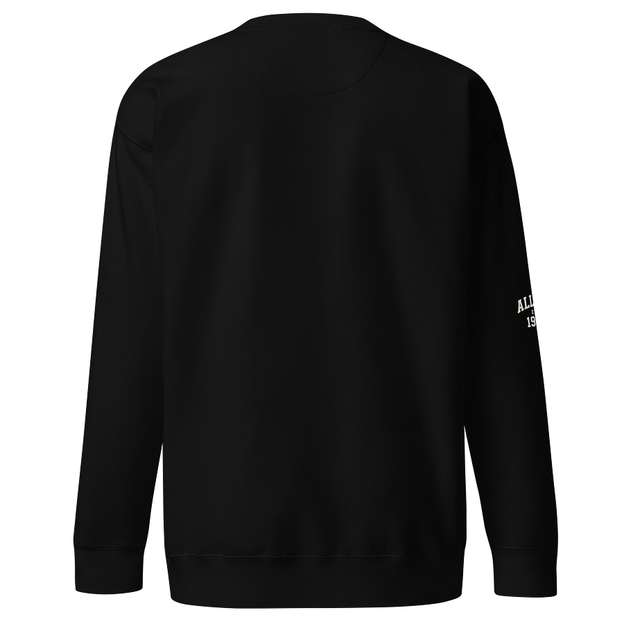 "Allure Instinct" Sweater product image (4)