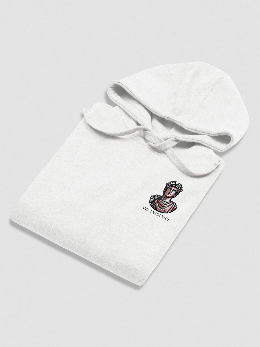 Veni Vidi Vici Hoodie product image (3)