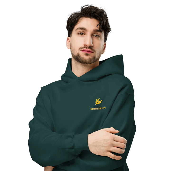 Energize Premium Hoodie product image (1)
