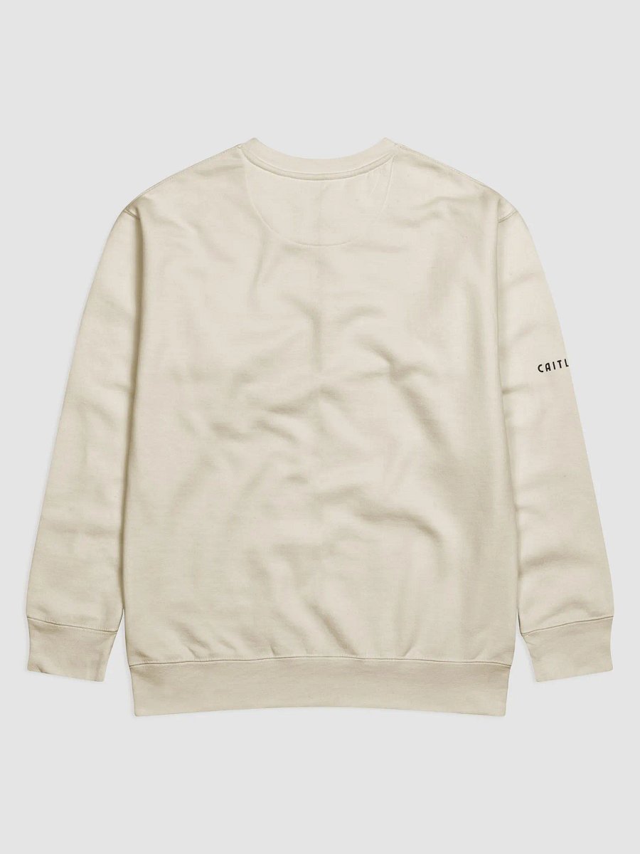 Human Evolved to Gang Bang Sweater product image (5)