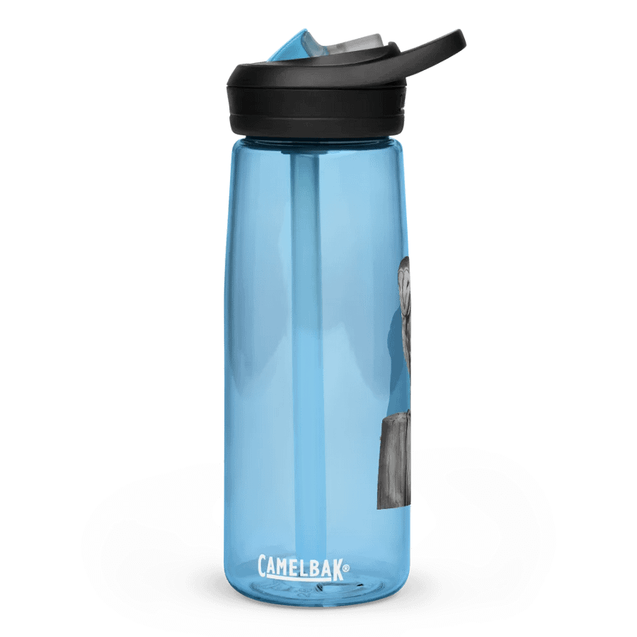 Barn Owl Drawing Water Bottle Straw product image (4)