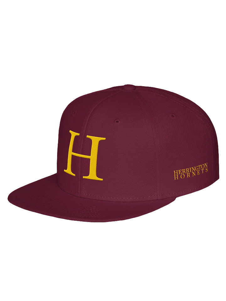 Herrington Hornets Cap - The Faculty product image (1)