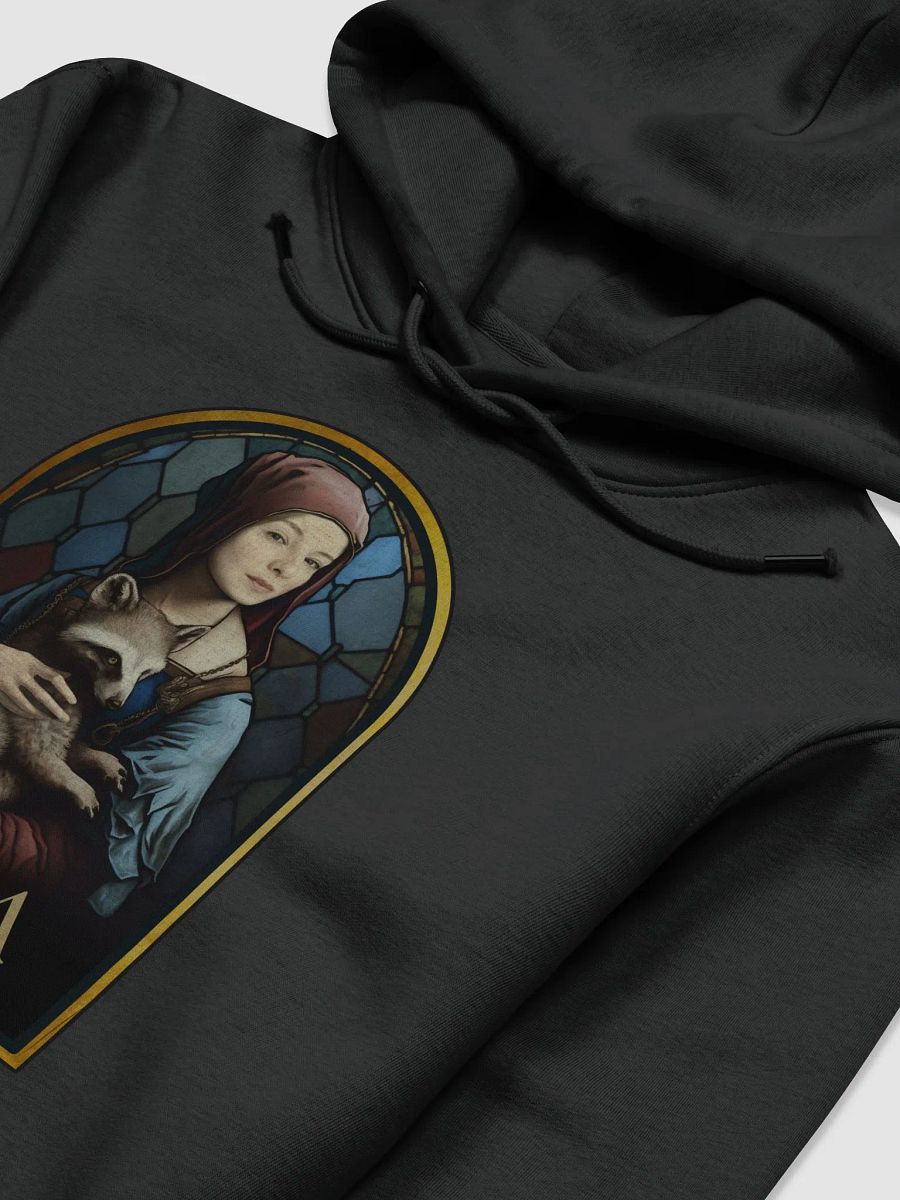 Hoodie AFU Raccoon product image (3)