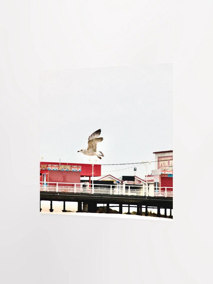 Young Gull Flying over a Fun Fair Poster product image (8)