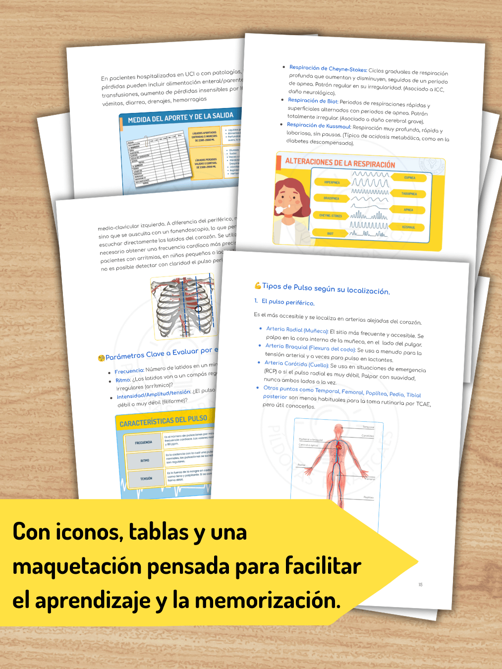 Constantes Vitales para TCAE + 3 Planificadores de Estudio product image (3)