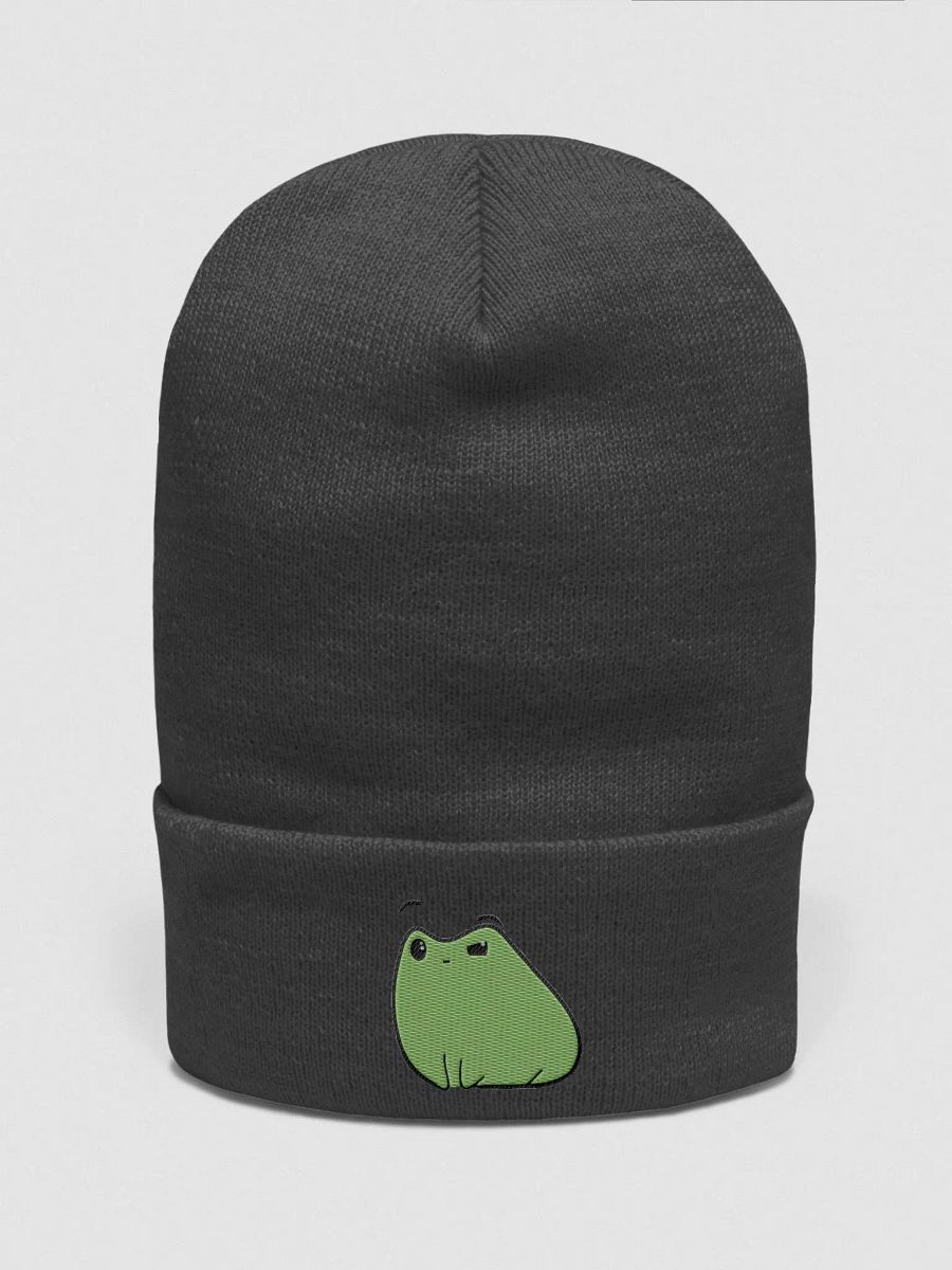 WTF Froge Hat product image (1)