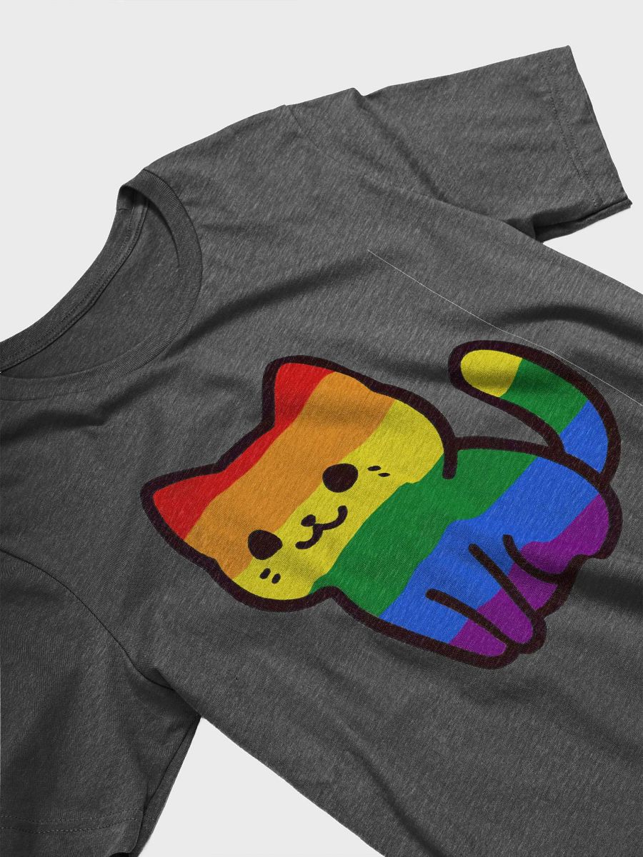 Rainbow Pride Kitty Woman's Shirt product image (32)