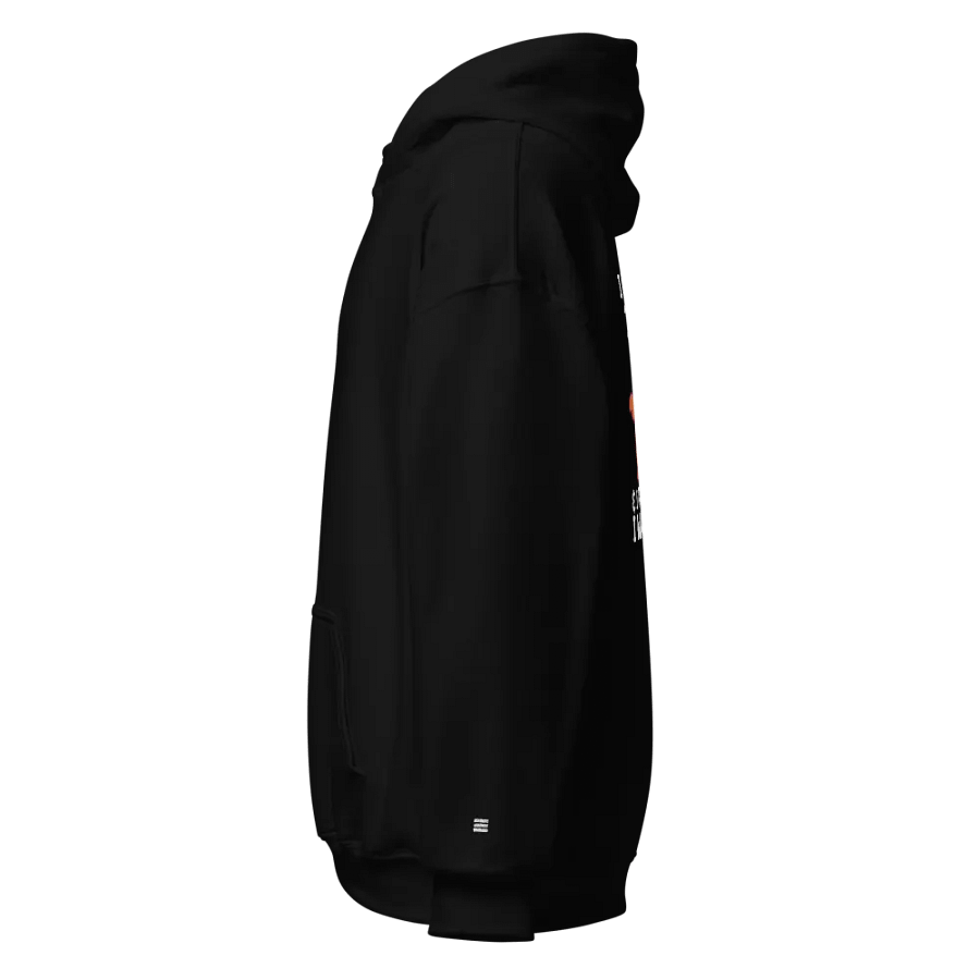 FORGOTTEN Panda Hoodie product image (3)