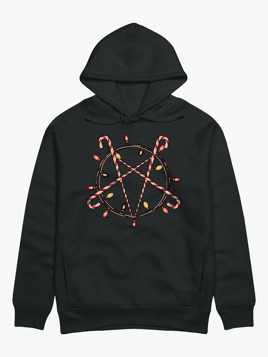HAIL SANTA! - Hoodie product image (1)