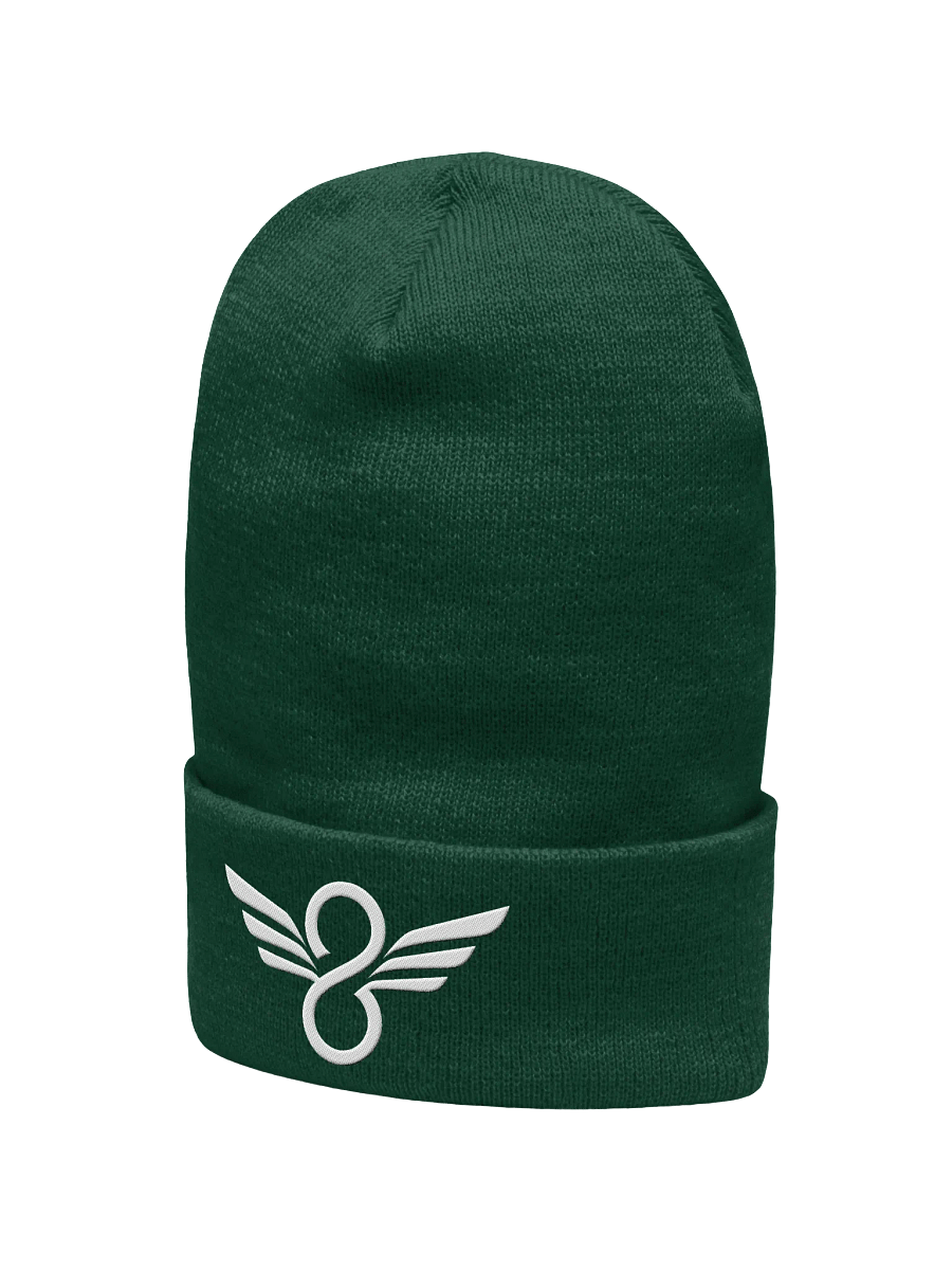Disciple Knit Cap product image (2)