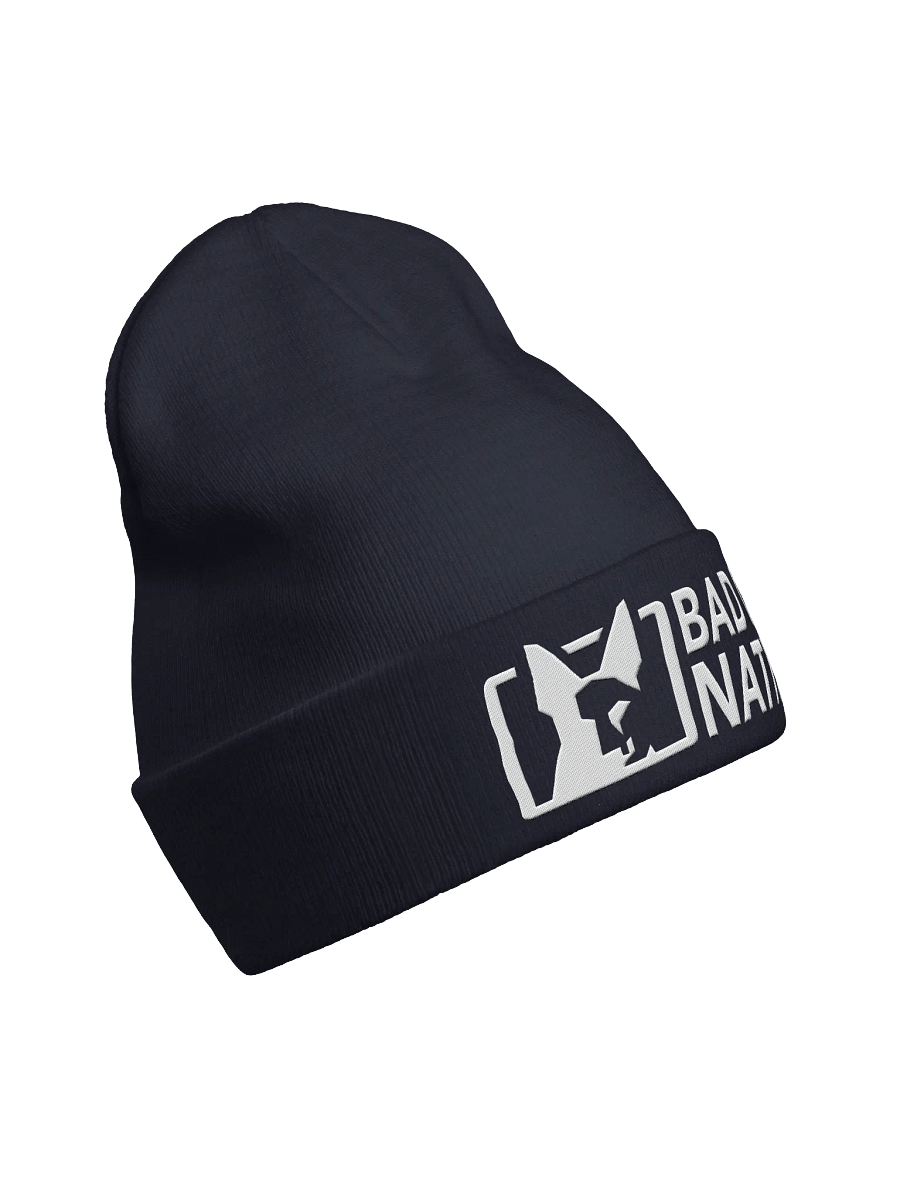 Bad Dog Nation Logo Knit Beanie product image (19)