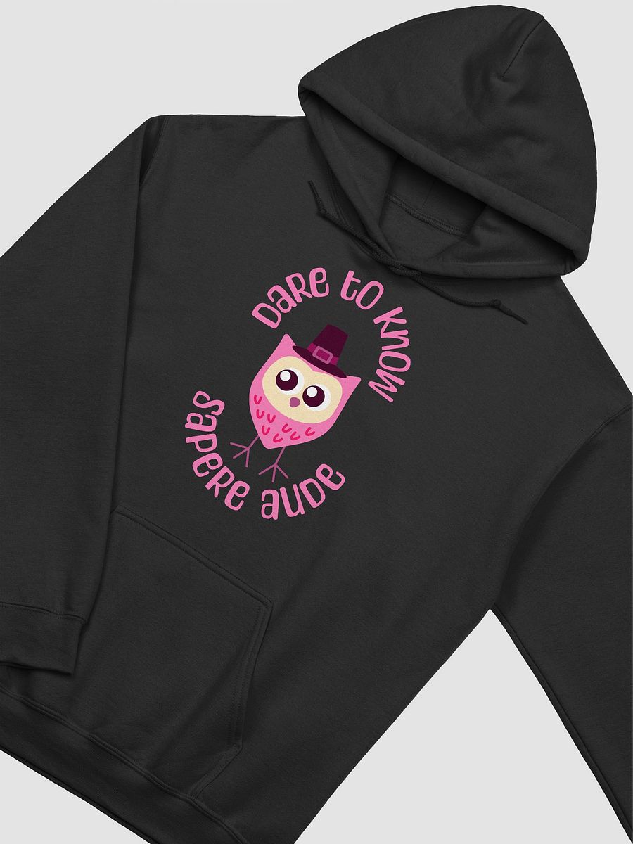 Sapere Aude Hoodie product image (5)