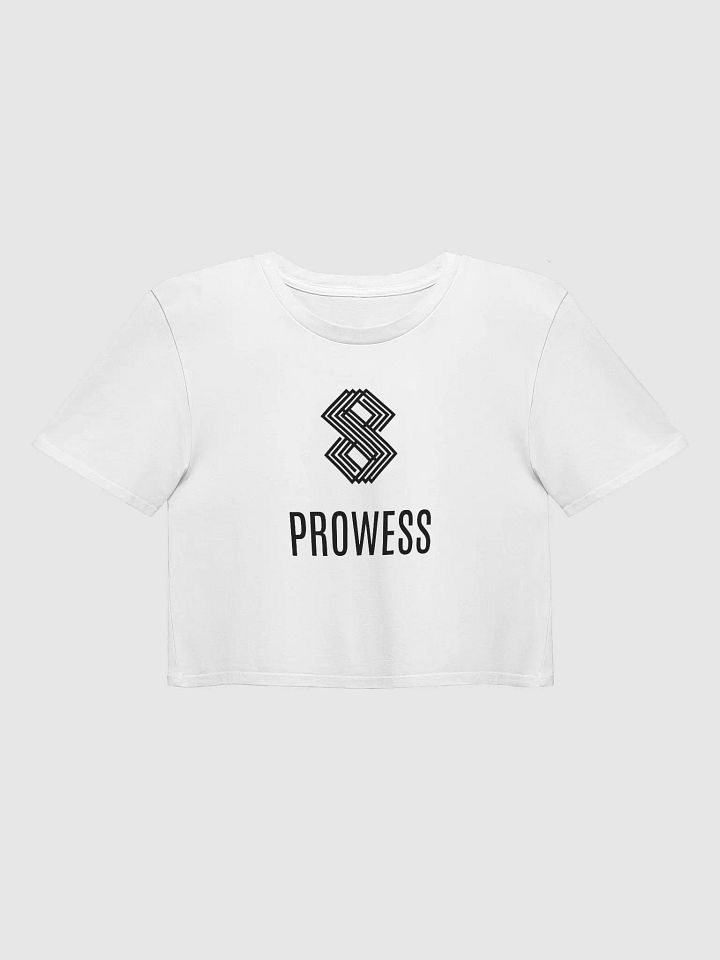 Prowess product image (41)