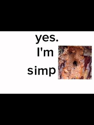 If u finish the video I’ll give u $400 million dollars