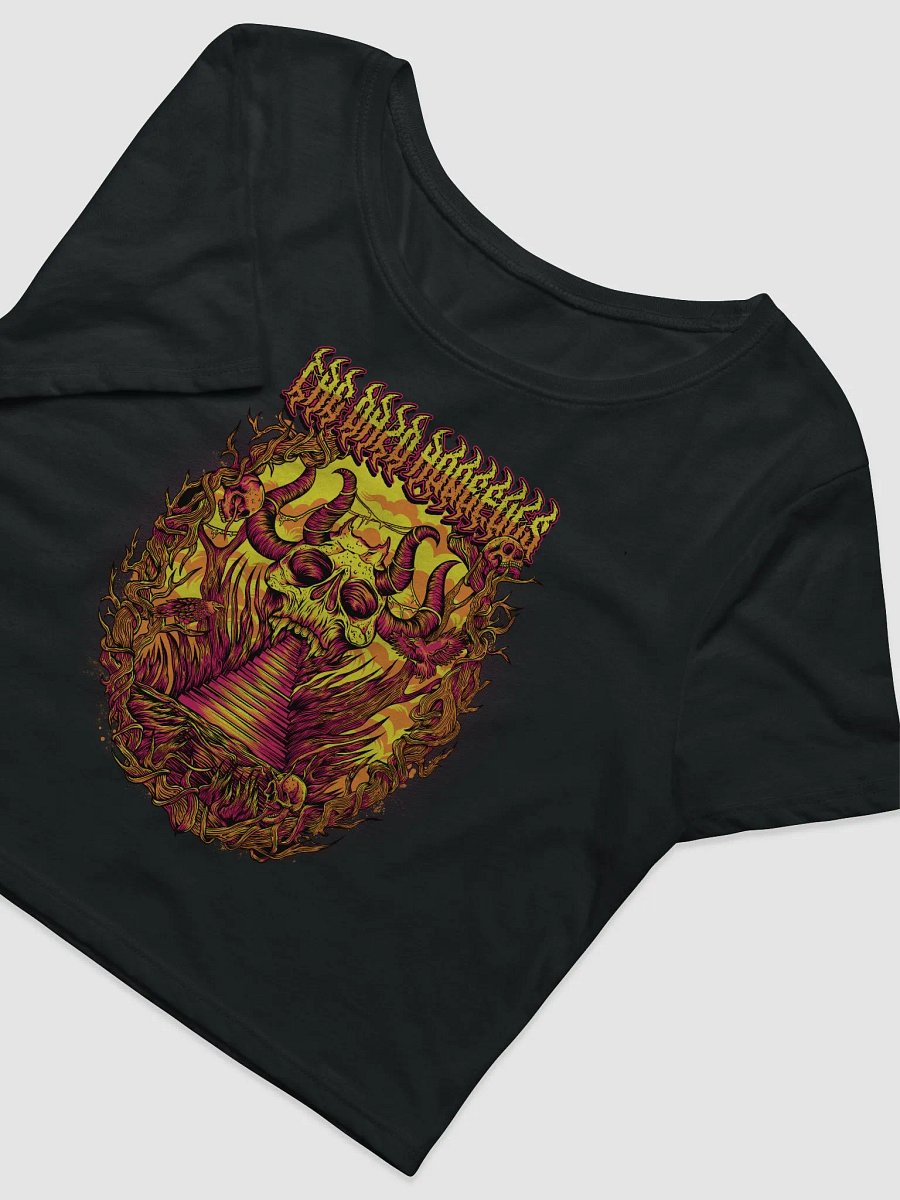 Chaos Cropped Tee product image (3)