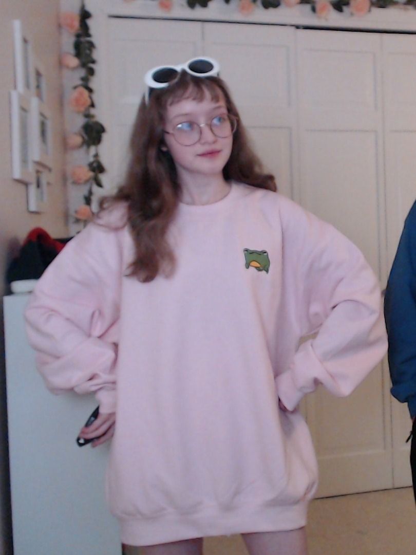 hippity hoppity the frog is on ur pockety (there is not a pocket on this sweatshirt) product image (1)