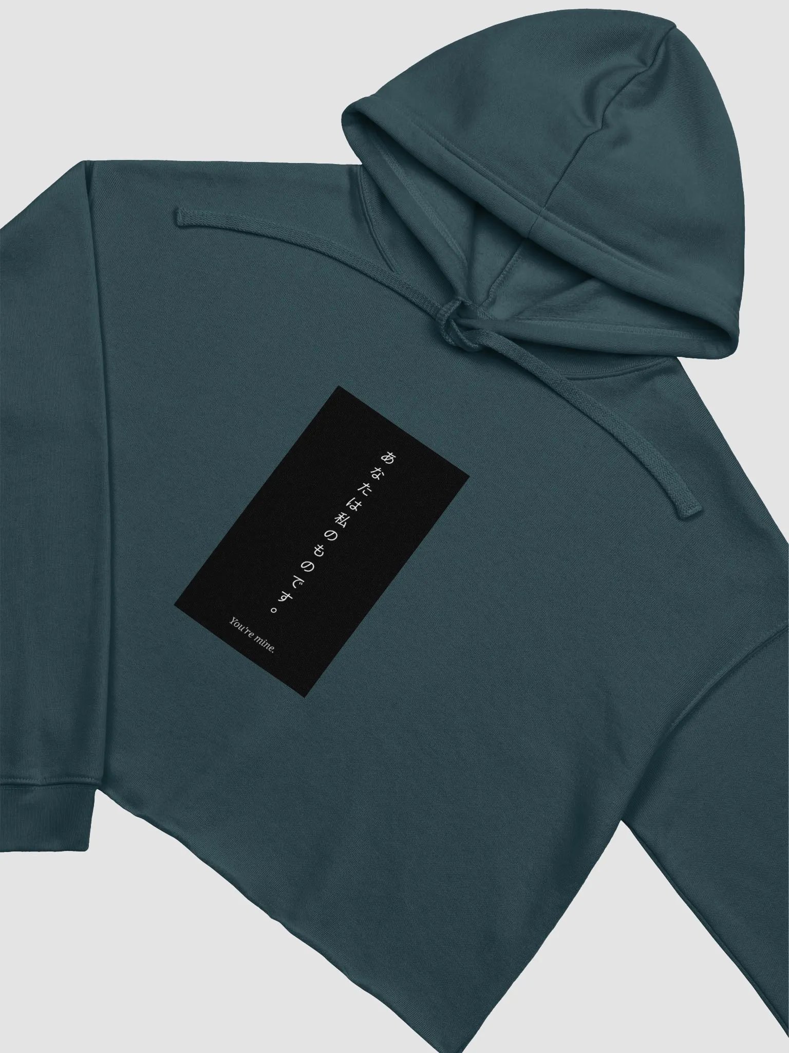 You're Mine Japanese Text Crop Hoodie product image (25)