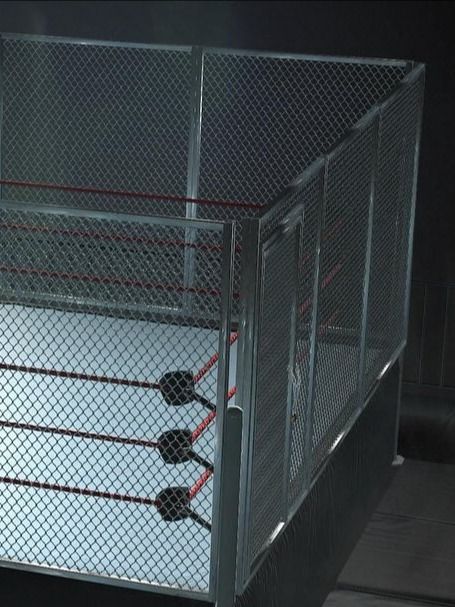Steel Cage 3D Bundle product image (1)