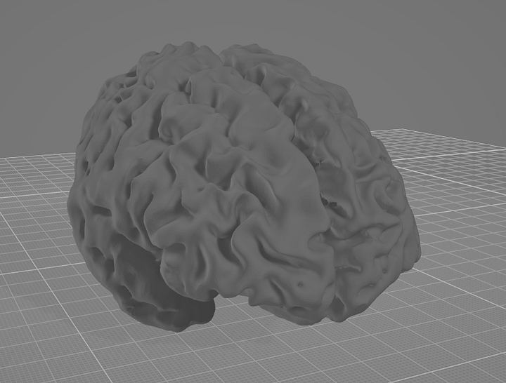 My BRAIN (3D Model) product image (1)