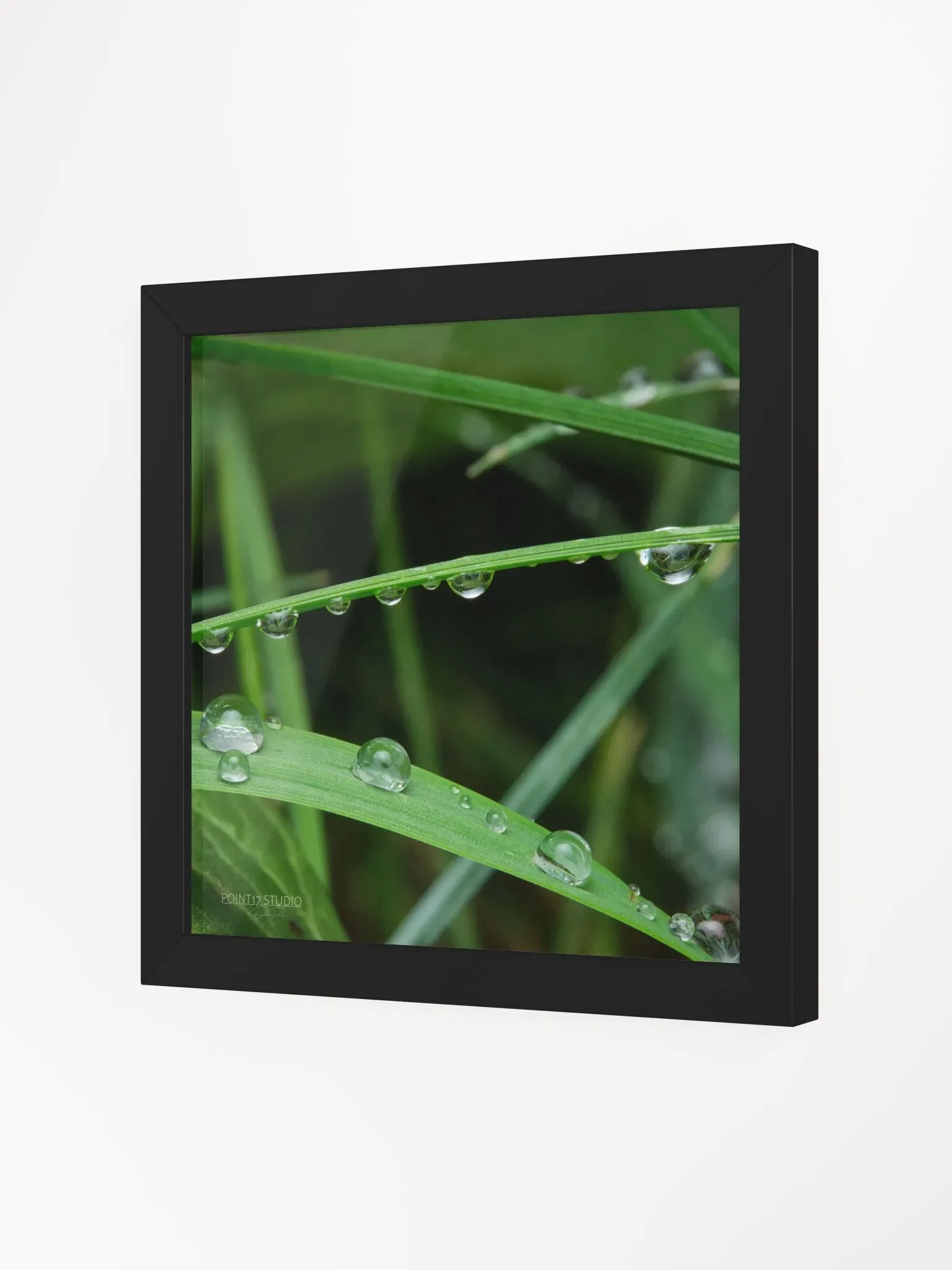 Dew Gems #9 - Framed Print product image (2)