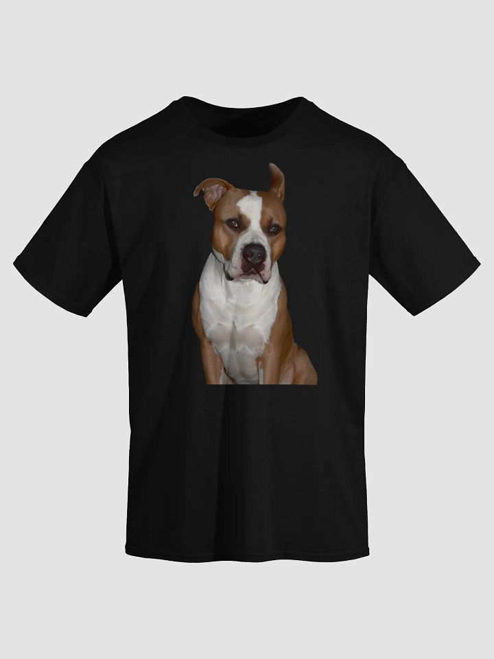 LEO TEE product image (2)