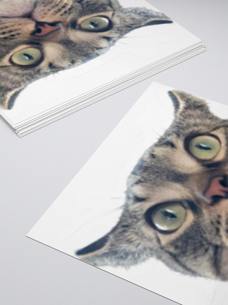 Luke Sticker product image (11)