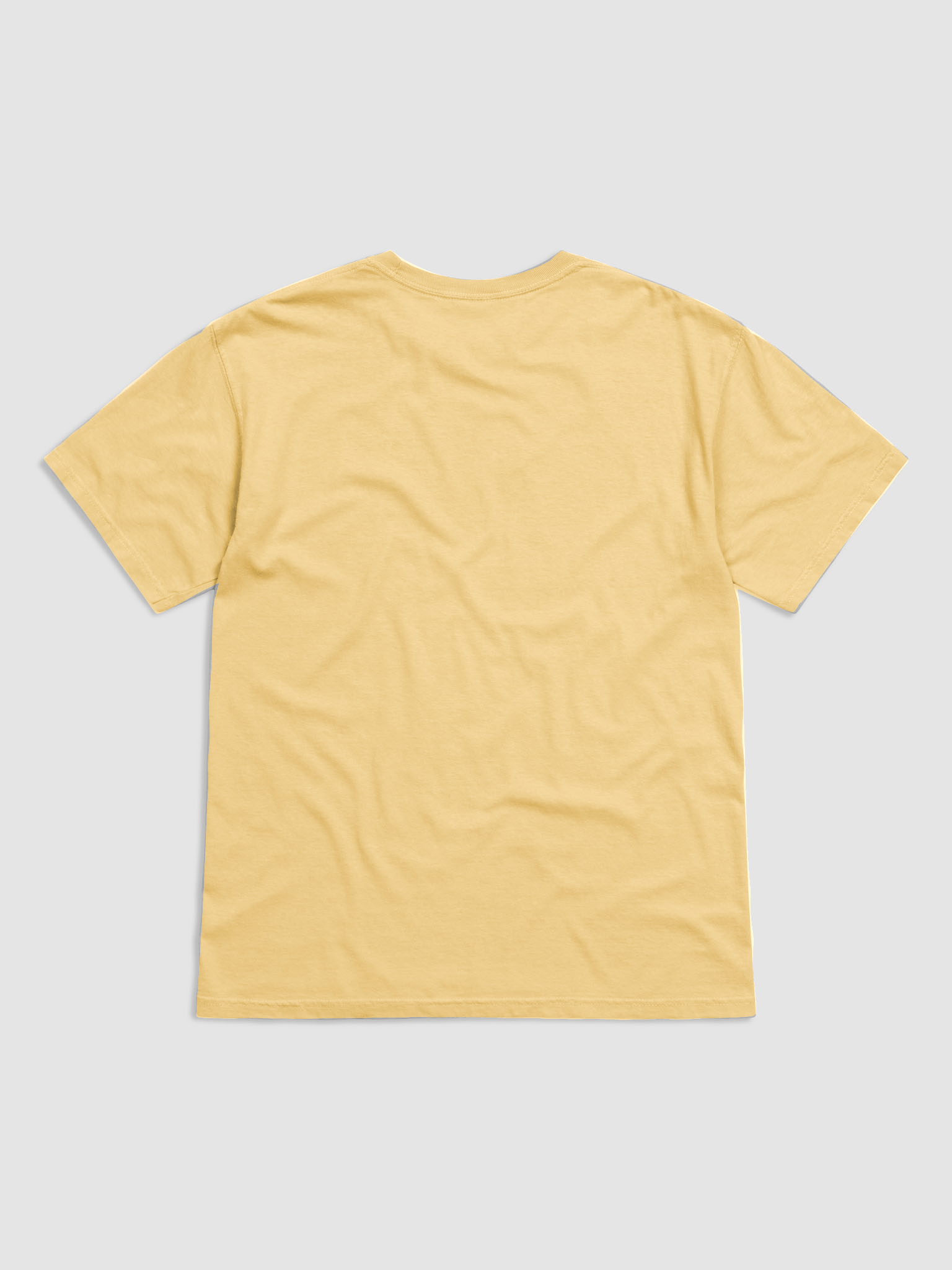 CERTEXAS Invisible Comfort: Garment-Dyed T-Shirt product image (2)