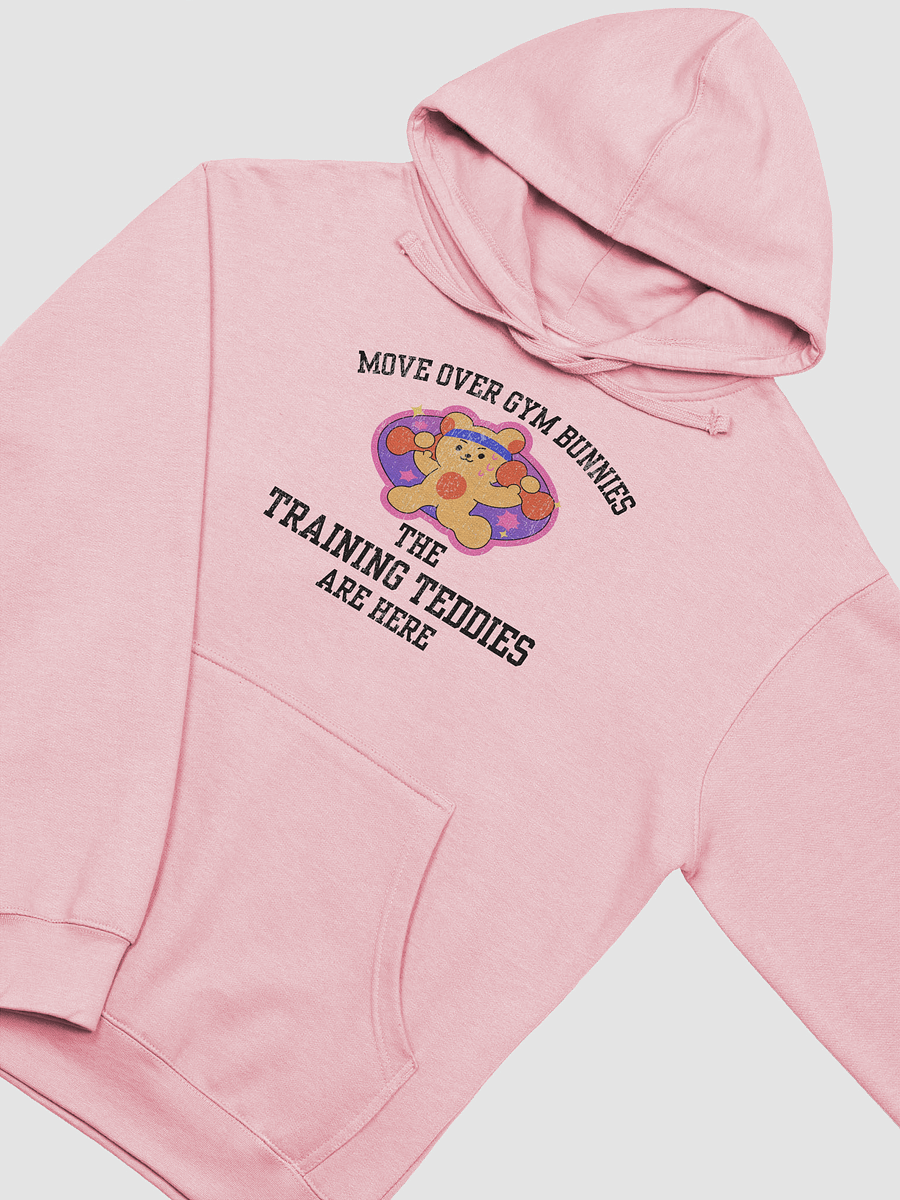 Training Teddies Hoodie product image (8)
