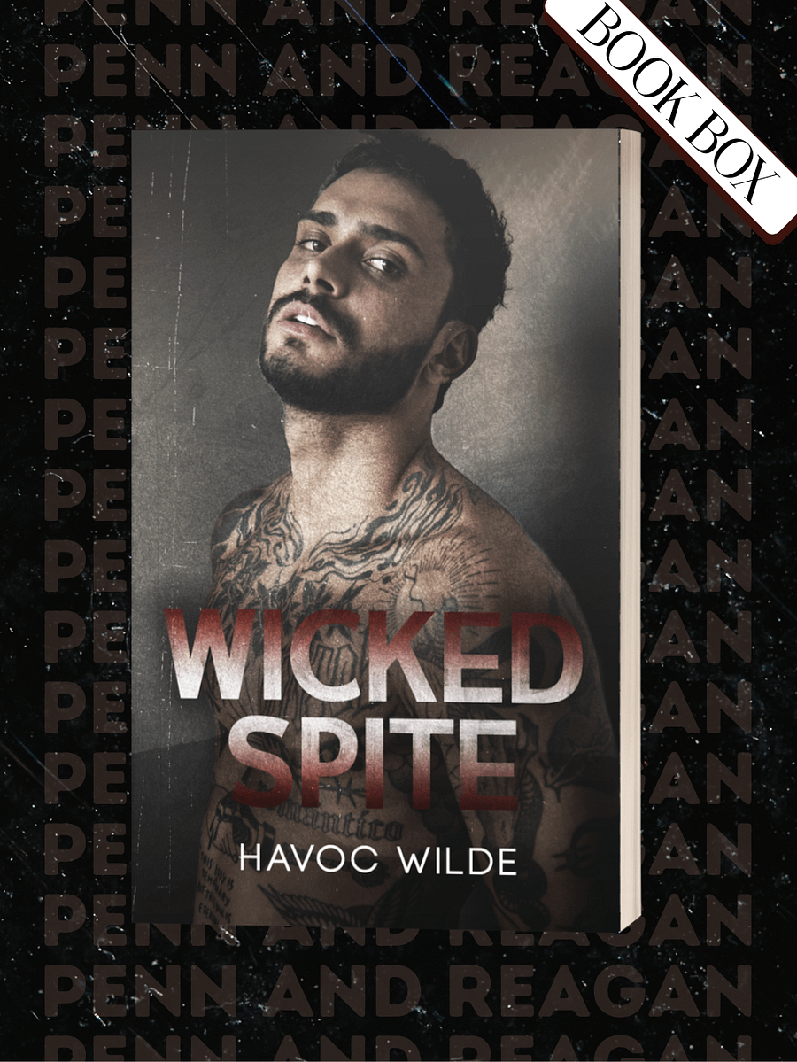 Wicked Spite Book Box product image (1)