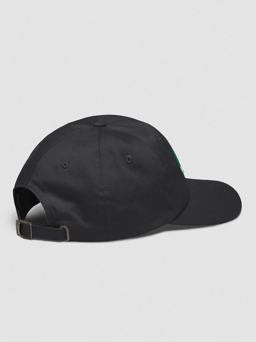 Banjos For Veterans (B4V) Official Logo Yupoong Classic Dad Hat product image (4)