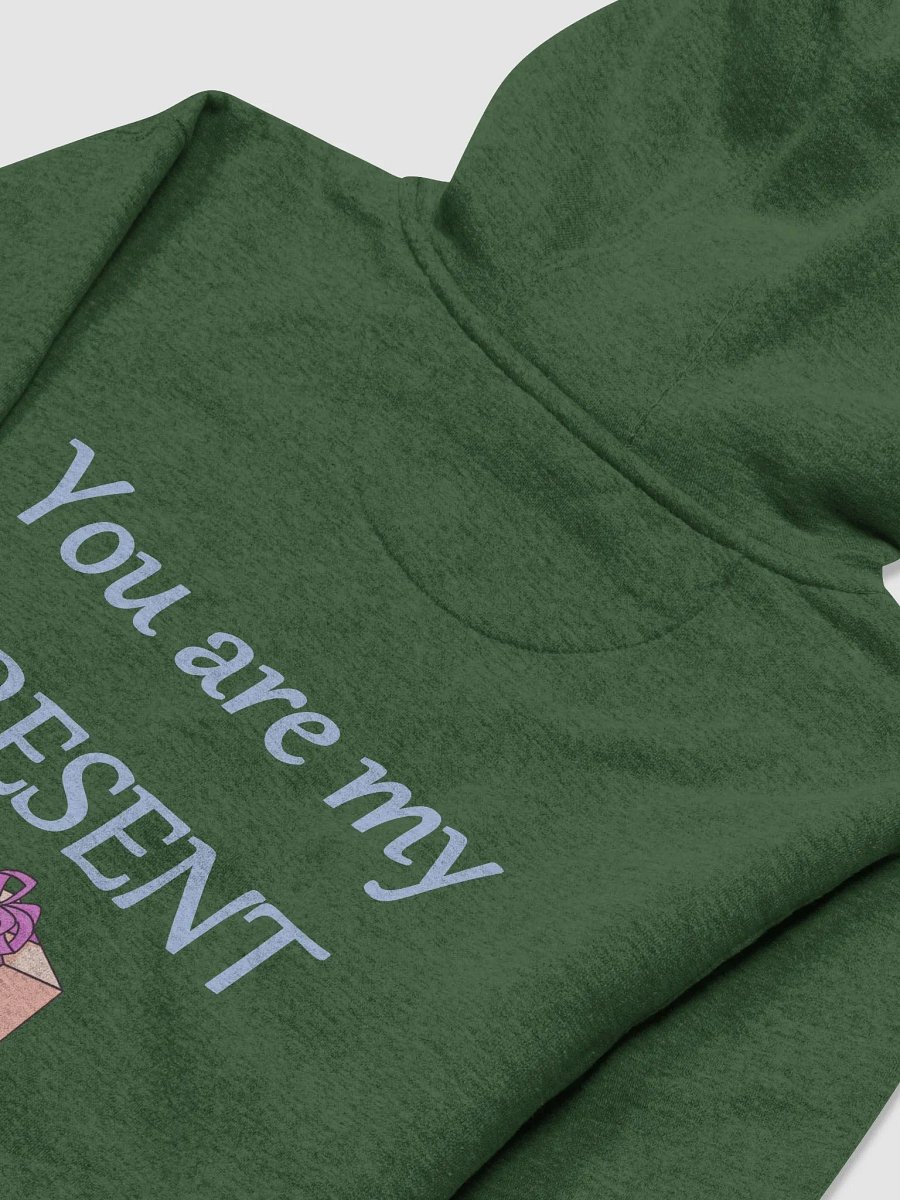 Present Perfect Hoodie product image (22)