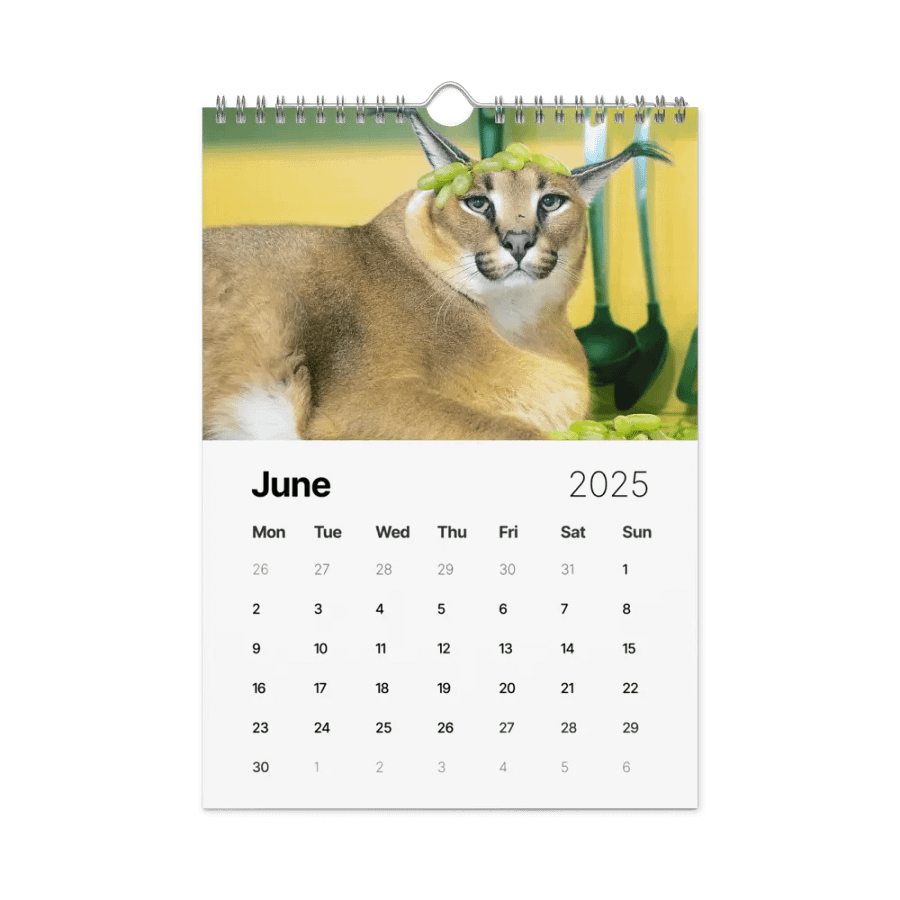 FLOPPA CALENDAR FOR 2025 product image (9)