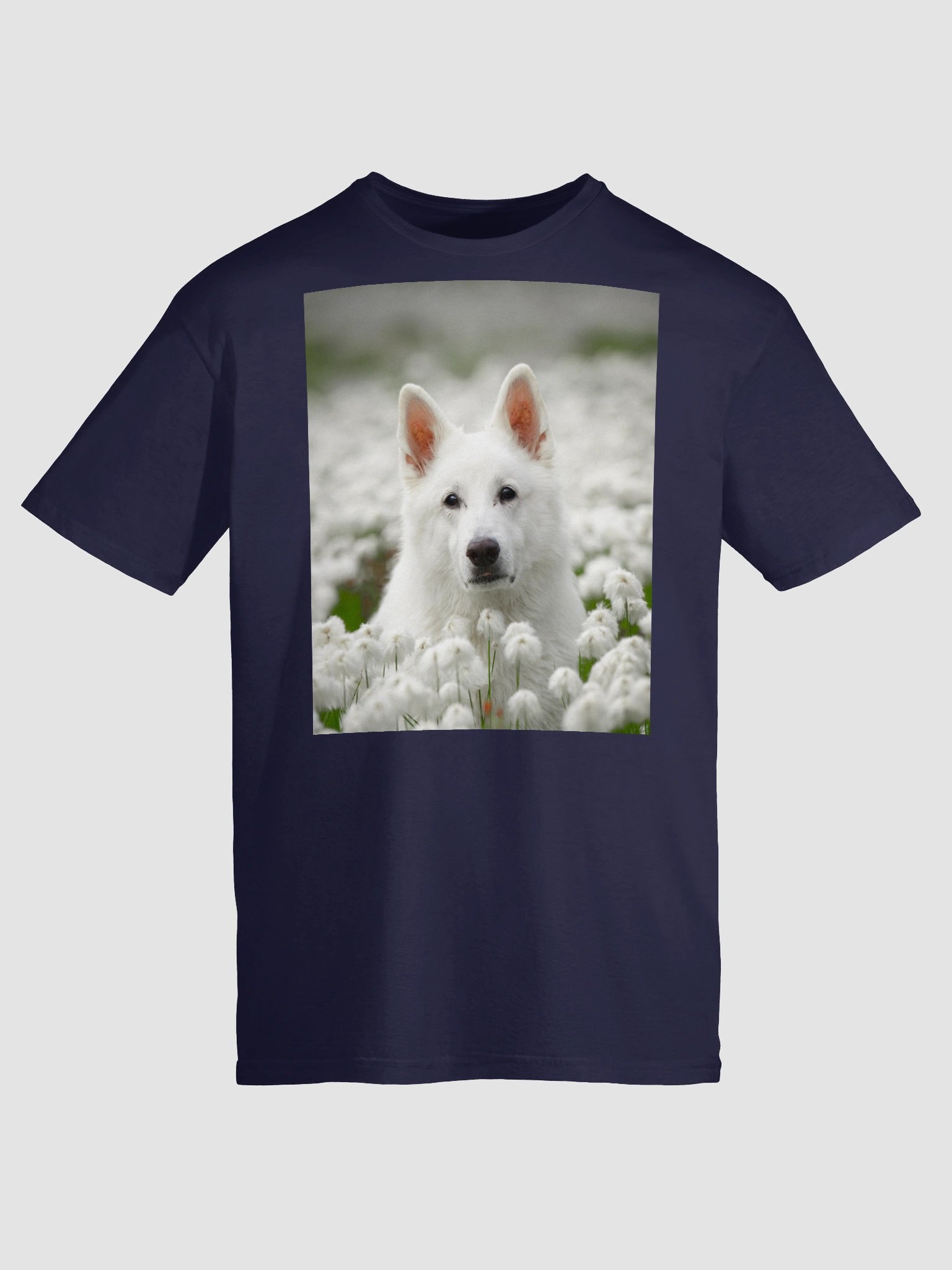 Rasta in the Wool grass product image (63)