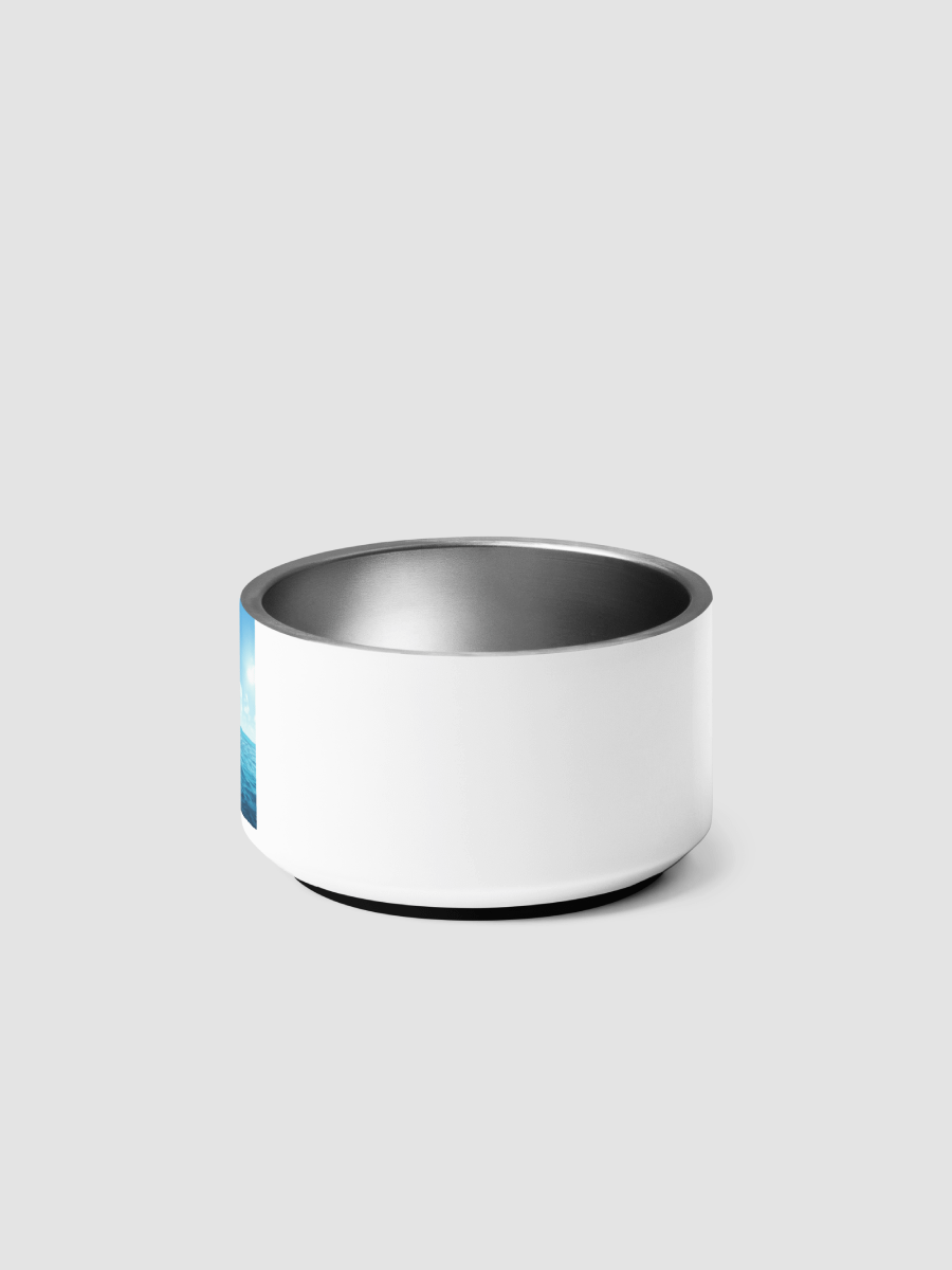 Pet Bowls product image (4)