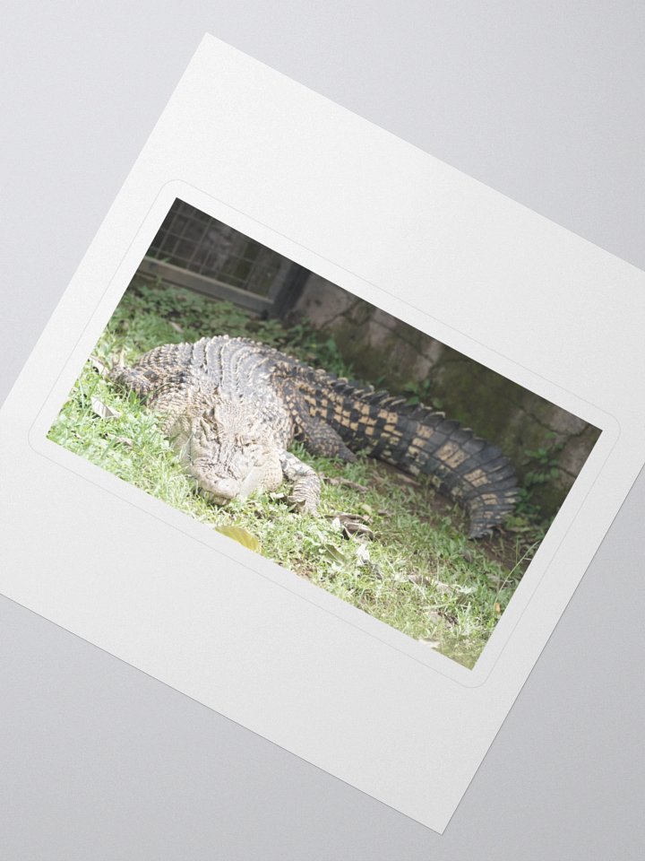 Majestic Crocodile Kiss Cut Stickers product image (2)