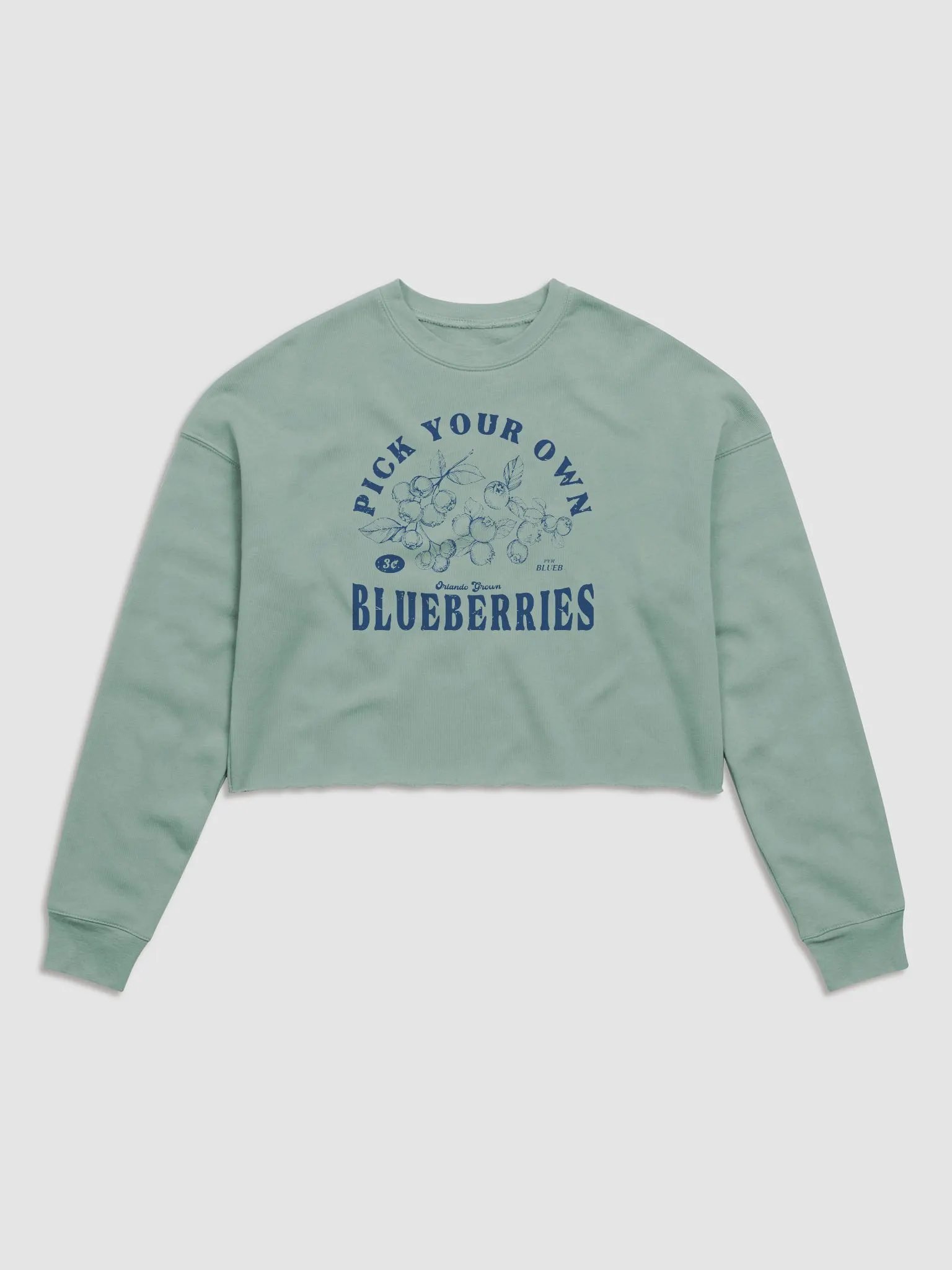 PYOB (Blue) Cropped Hoodie product image (1)