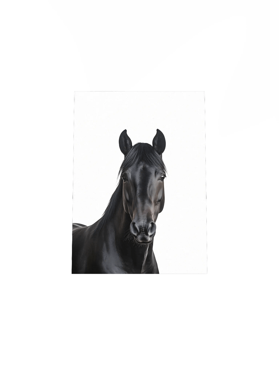Farm Animal Black Horse Wall Art product image (26)