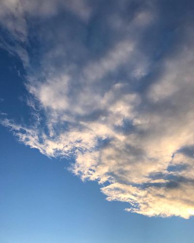 I can’t believe summer is almost over 🌵
•
#summertime #canadiansummers #gatineausummer #ottawa #ottawayoutuber #sun #skyisthe...