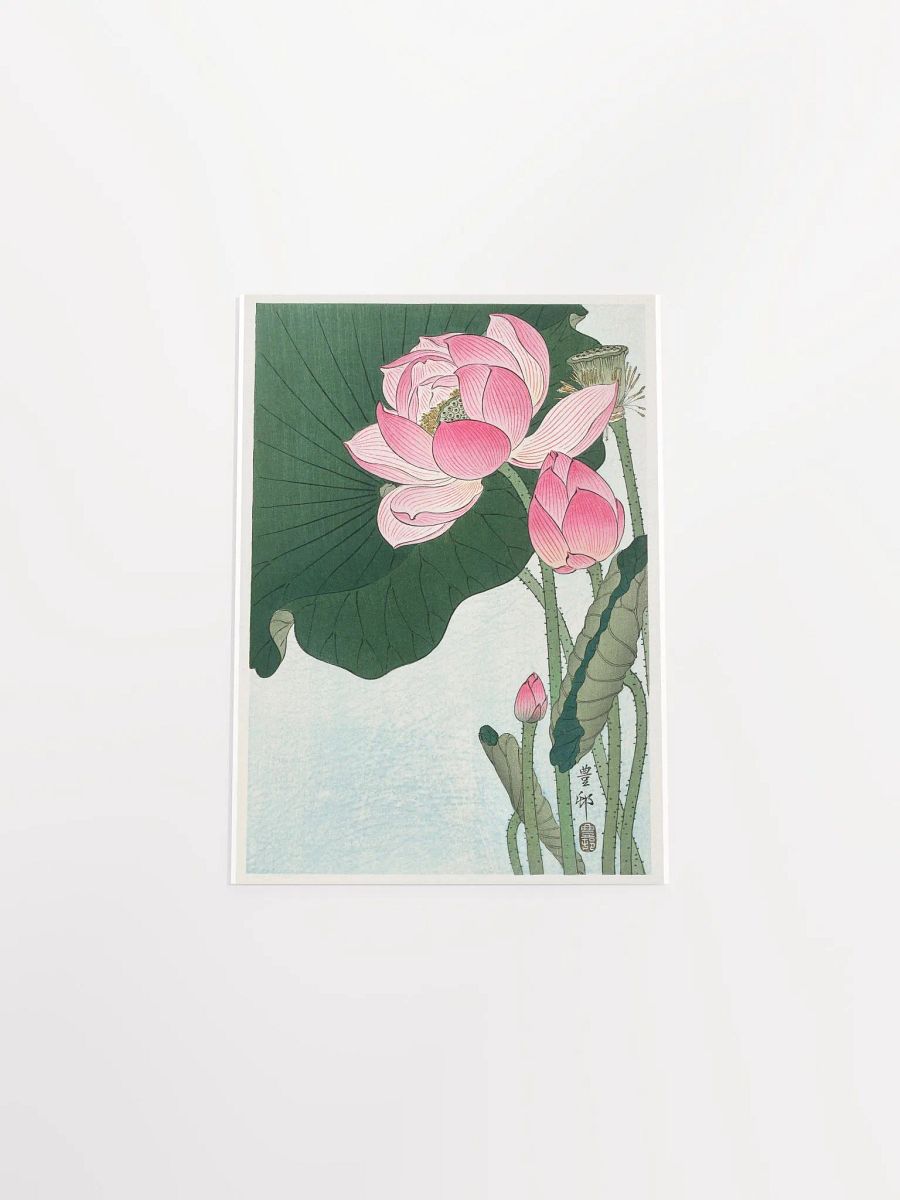Blooming Lotus Flowers by Ohara Koson product image (4)