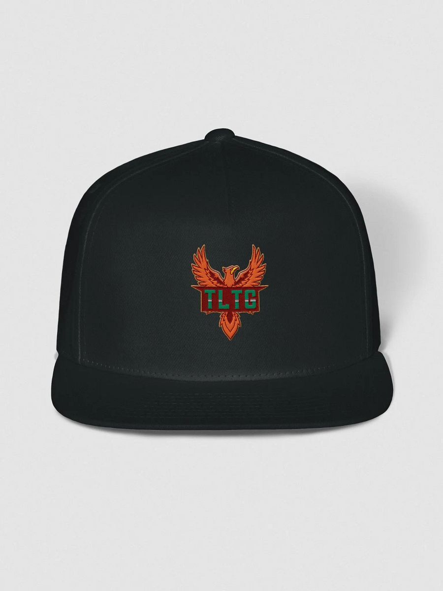 TLTG Embroidered Hat product image (3)