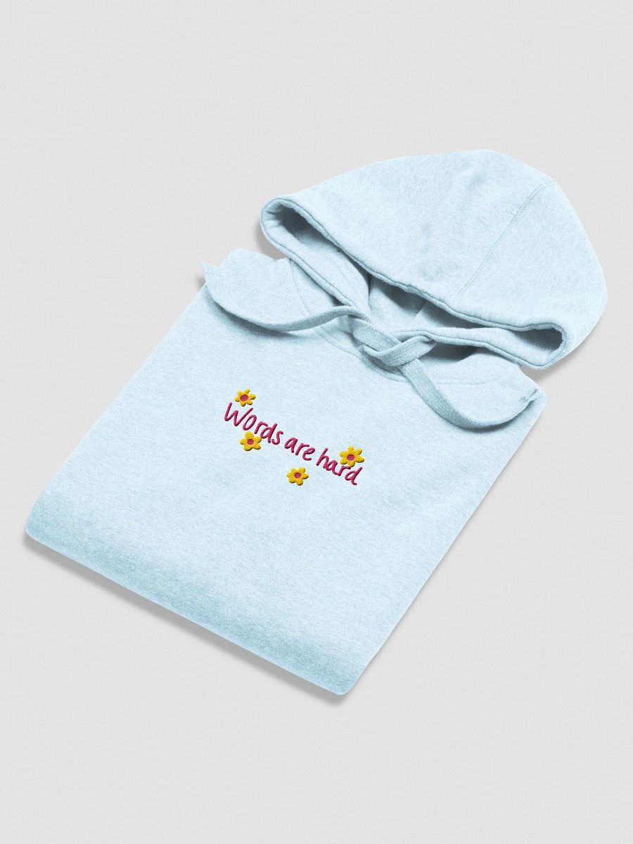 Words Embroidered Hoodie product image (13)