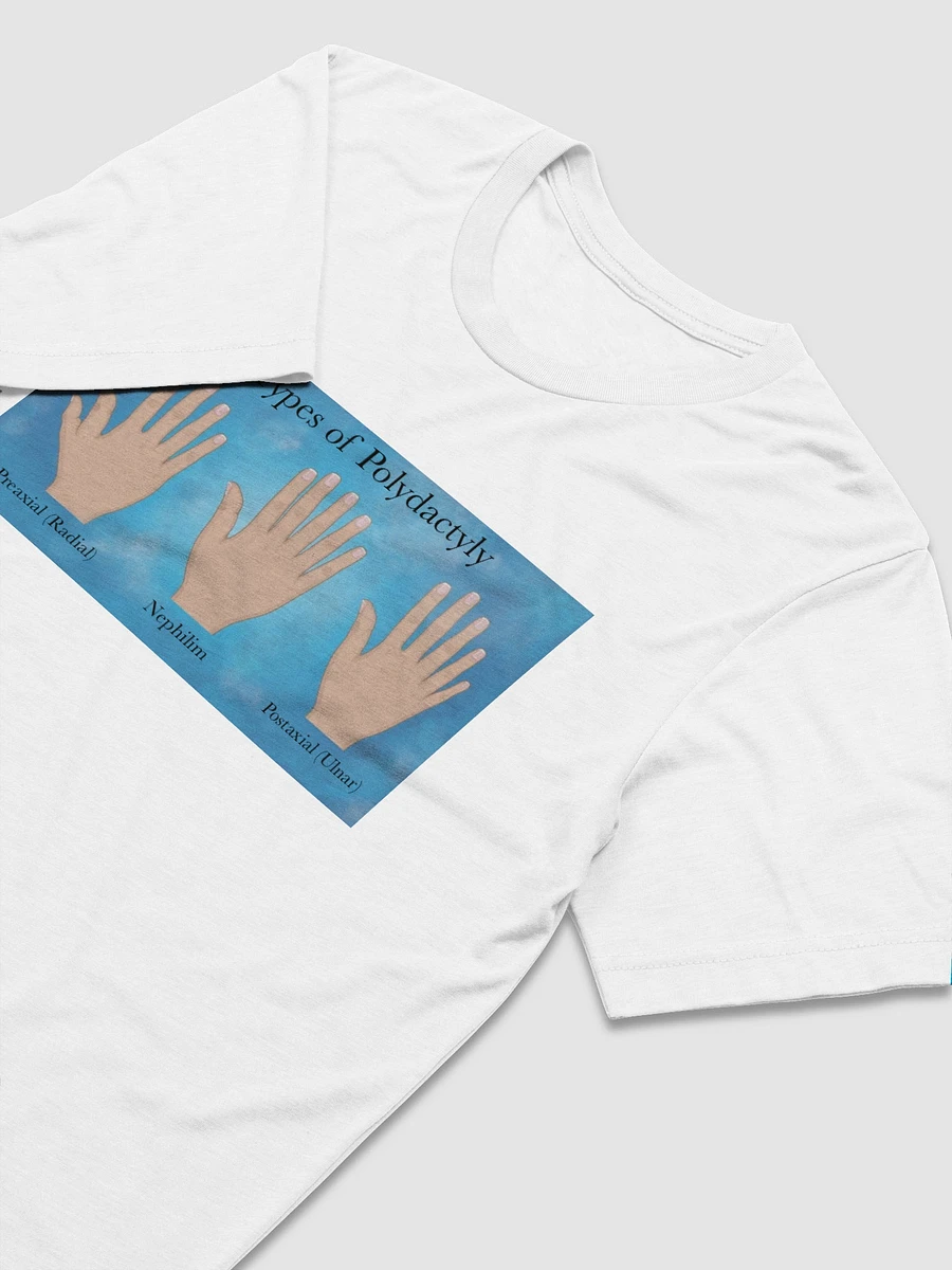 Polydactyly (Nephilim) - Triblend Short Sleeve T-Shirt product image (3)