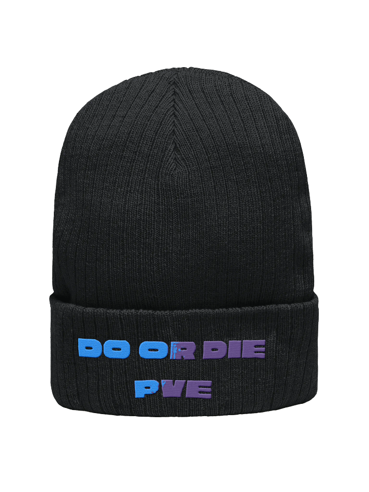 Bold Ribbed Knit Beanie: DO OR DIE Edition product image (1)