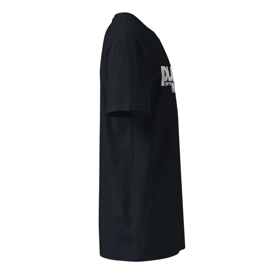 Planet of the Morons - Unisex Premium T-Shirt product image (4)